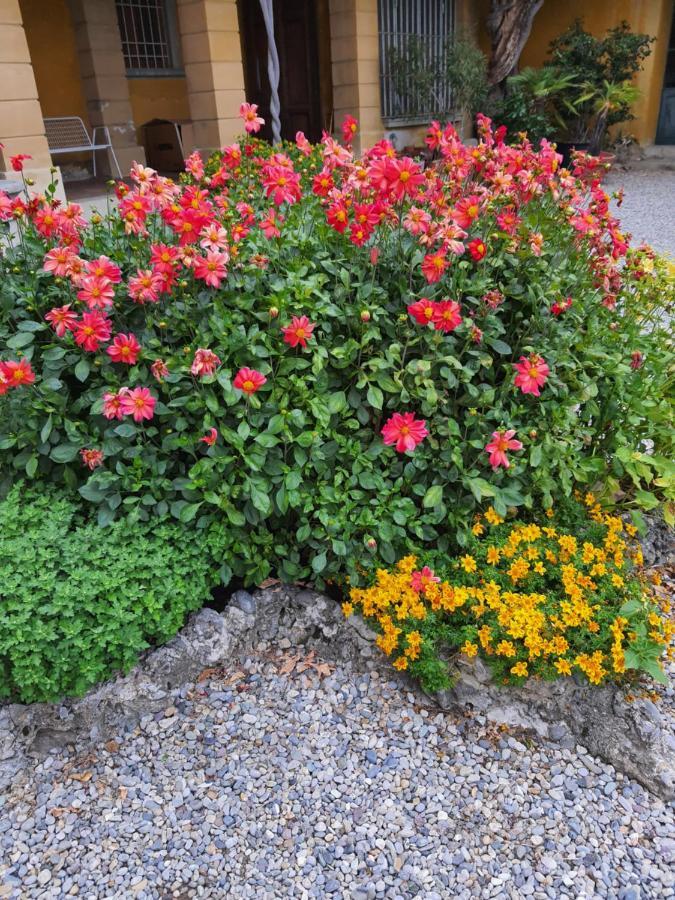 B&B Villa Sant'Anna Bergamo Esterno foto