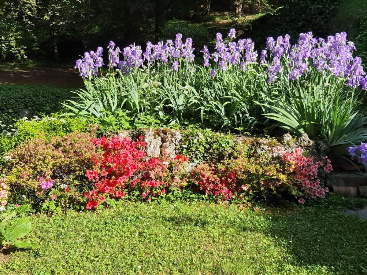 B&B Villa Sant'Anna Bergamo Esterno foto