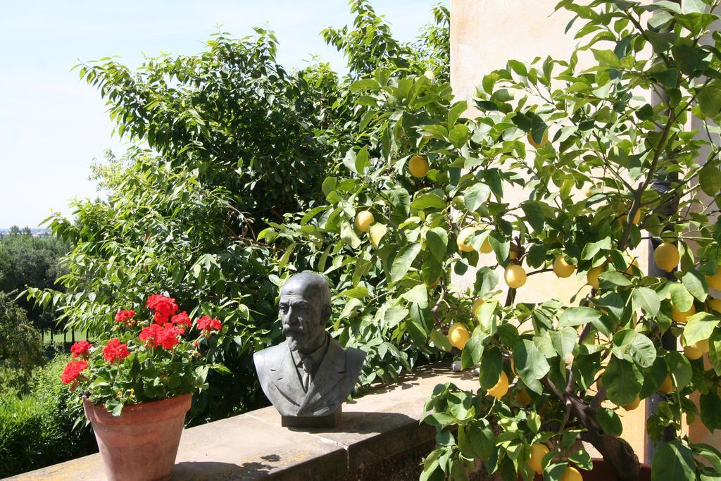 B&B Villa Sant'Anna Bergamo Esterno foto